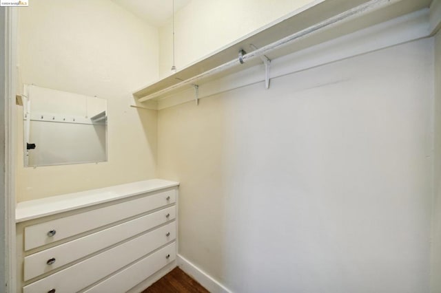 walk in closet featuring dark hardwood / wood-style flooring