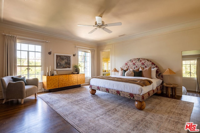 bedroom featuring multiple windows and dark hardwood / wood-style flooring