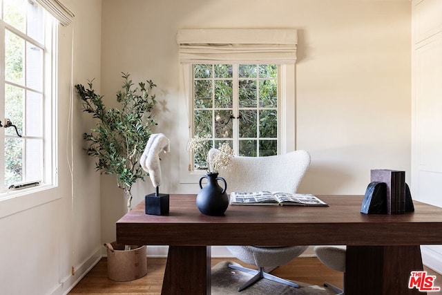 office space featuring hardwood / wood-style floors and plenty of natural light