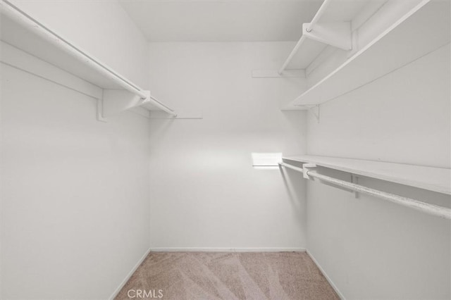 spacious closet with light carpet