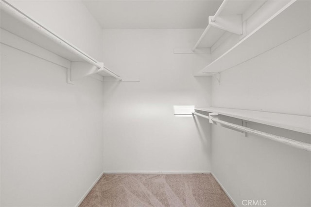 walk in closet featuring light colored carpet