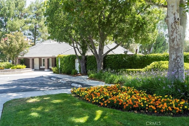 view of front facade featuring a front yard