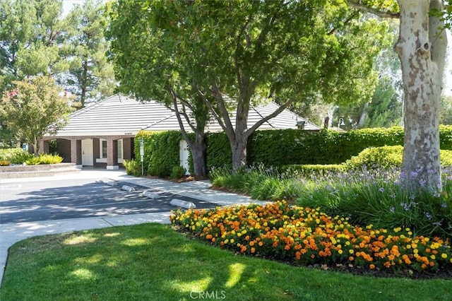 view of front facade featuring a yard