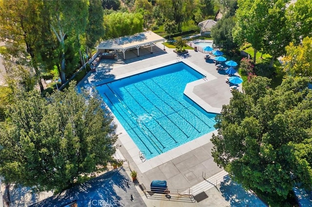 view of pool featuring a patio area