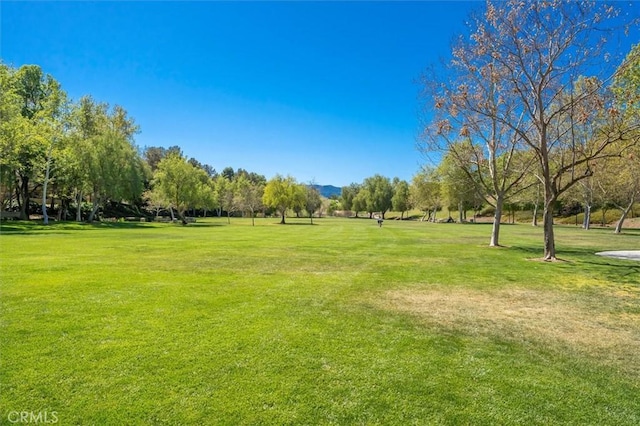 view of community with a lawn