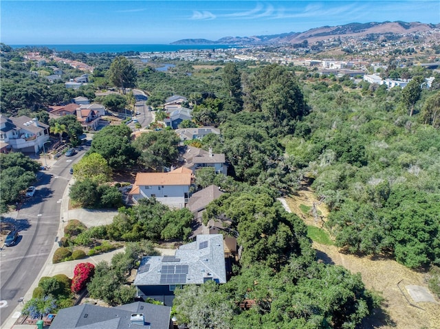 aerial view with a mountain view