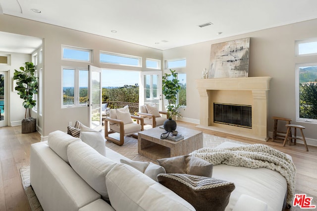 living room featuring a premium fireplace and light wood-type flooring