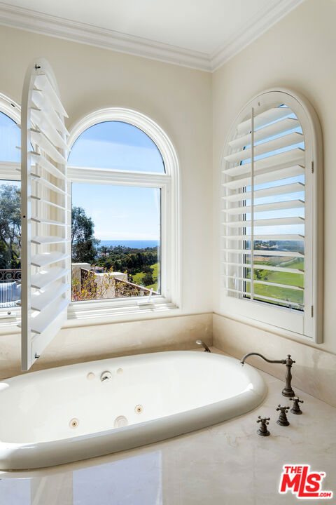 bathroom with crown molding, a healthy amount of sunlight, and a tub