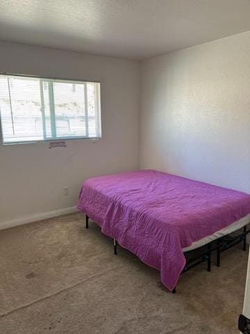 bedroom with carpet floors