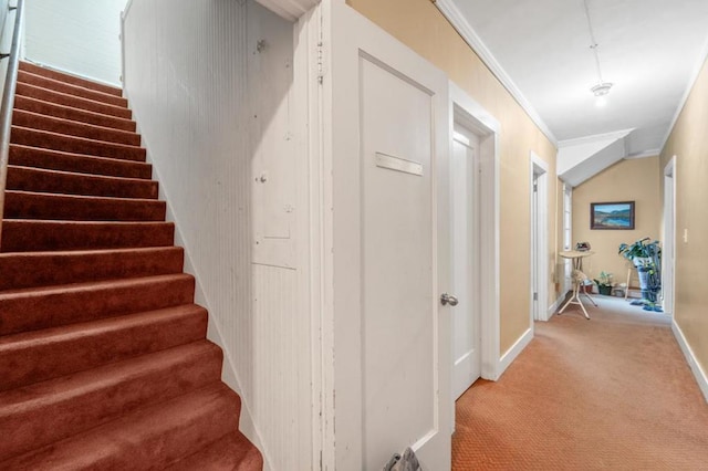 stairs featuring carpet flooring and ornamental molding