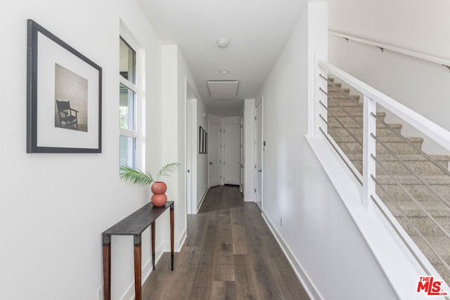 hallway with dark wood-type flooring