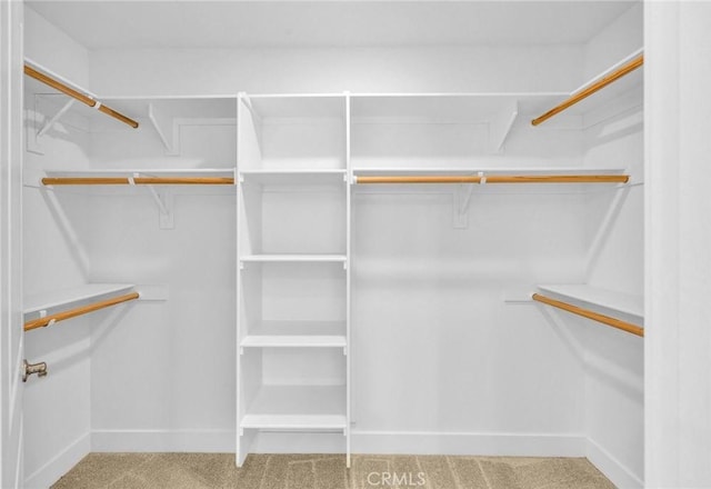 walk in closet featuring light colored carpet