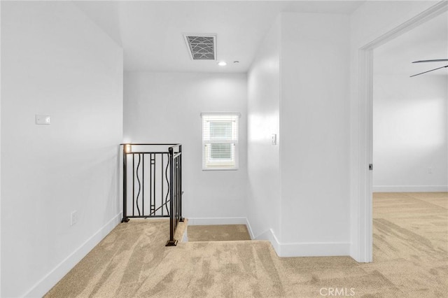 stairway featuring carpet floors