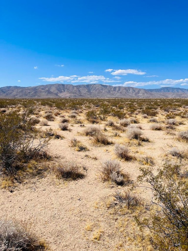 0 Firethorn Way, Johnson Valley CA, 92285 land for sale