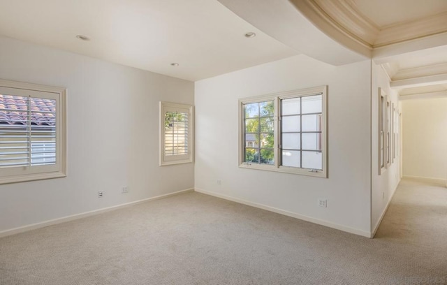 spare room featuring crown molding and light carpet