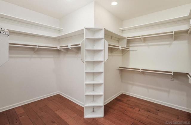 spacious closet with dark wood-type flooring