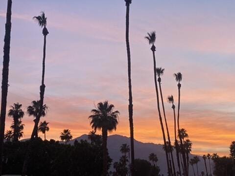 nature at dusk with a mountain view