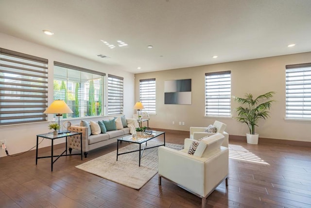 living room featuring dark hardwood / wood-style flooring