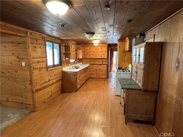 kitchen with sink, wood walls, and light hardwood / wood-style floors