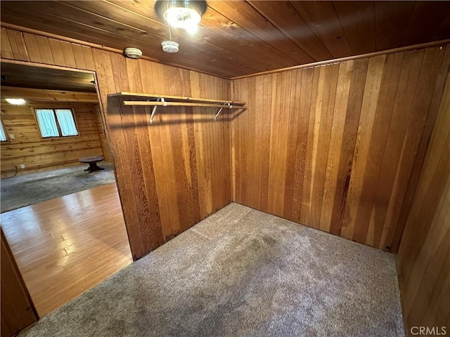 spacious closet with carpet