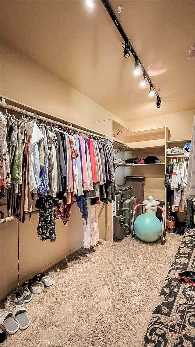 56245 Cobalt Rd, Yucca Valley, CA 92284 - walk in closet featuring carpet flooring