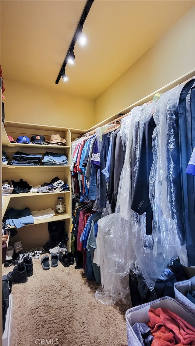 walk in closet with carpet floors