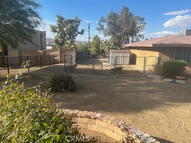 view of yard with a storage unit