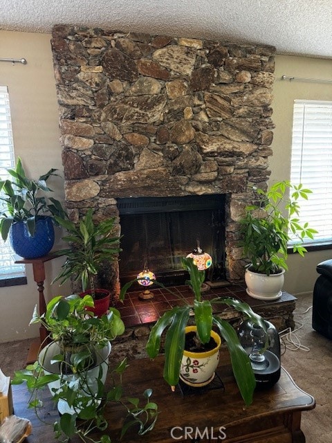 details with a textured ceiling and a fireplace