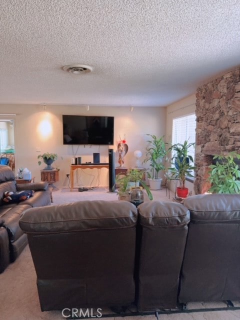 living room featuring carpet floors and a textured ceiling