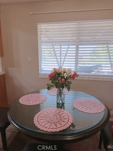 dining area with a healthy amount of sunlight