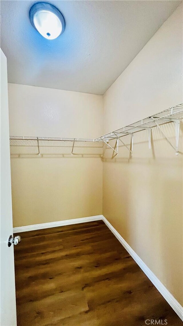 walk in closet featuring hardwood / wood-style floors