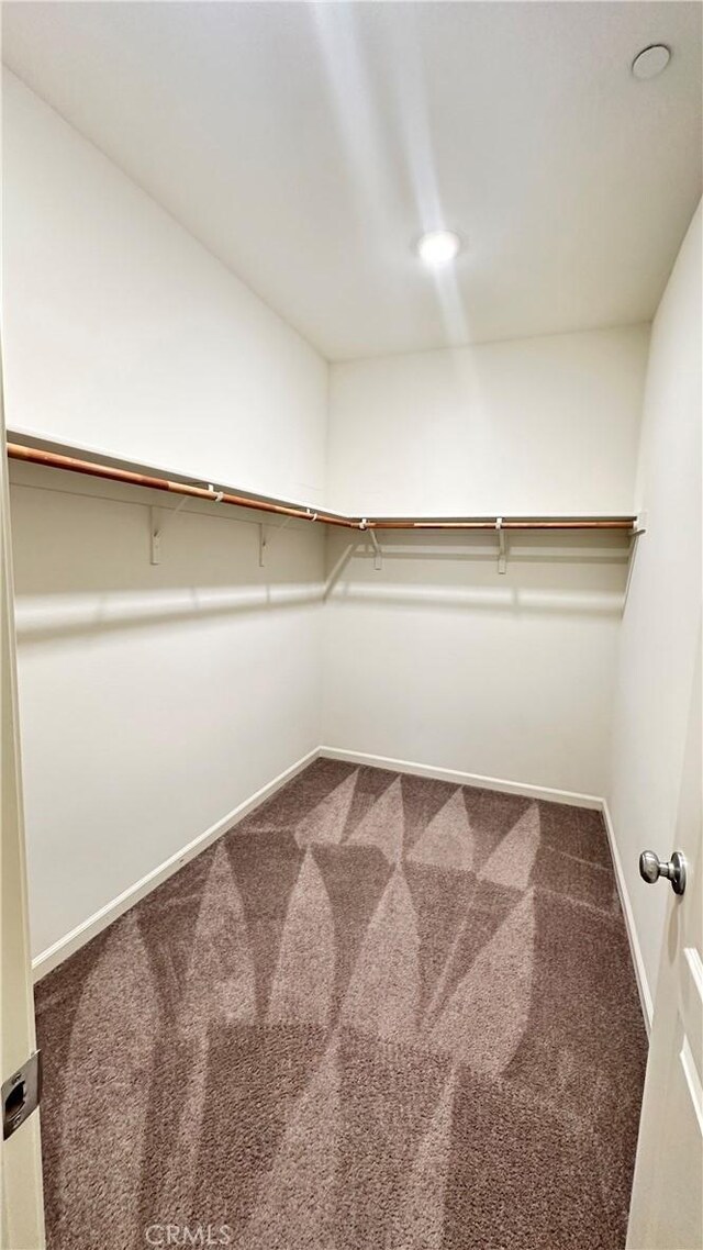 spacious closet featuring carpet floors