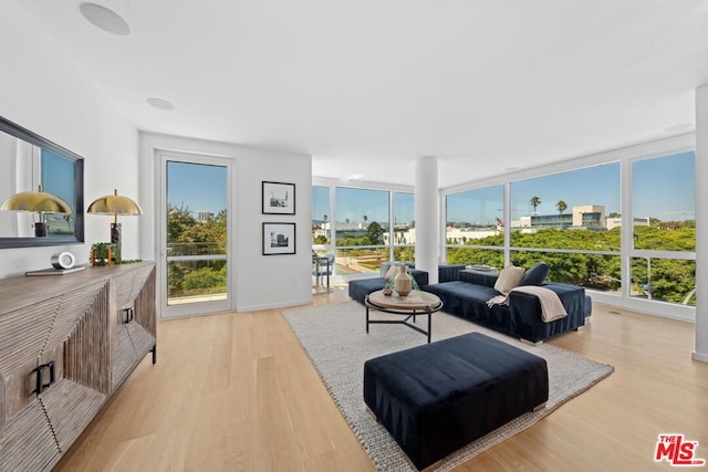 living room featuring light wood-type flooring, floor to ceiling windows, and plenty of natural light