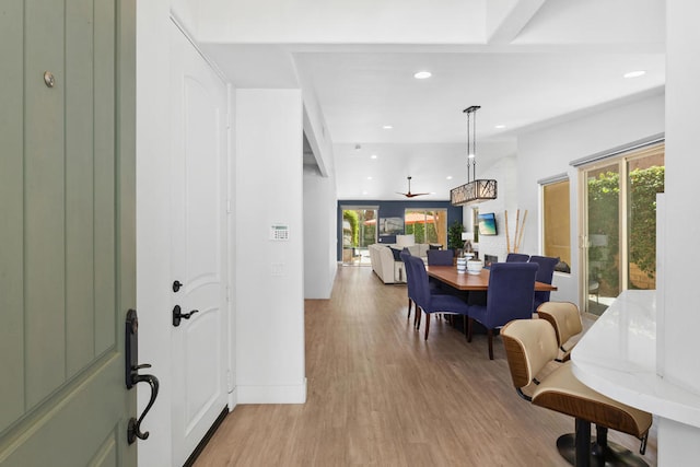 dining room with light wood-type flooring and ceiling fan