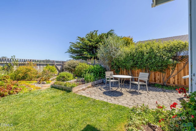 view of yard with a patio area