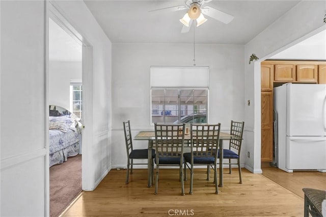 dining area with ceiling fan and light hardwood / wood-style flooring