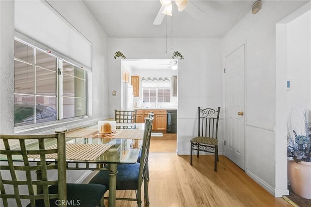 dining room featuring light hardwood / wood-style floors