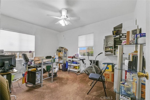 carpeted office featuring ceiling fan