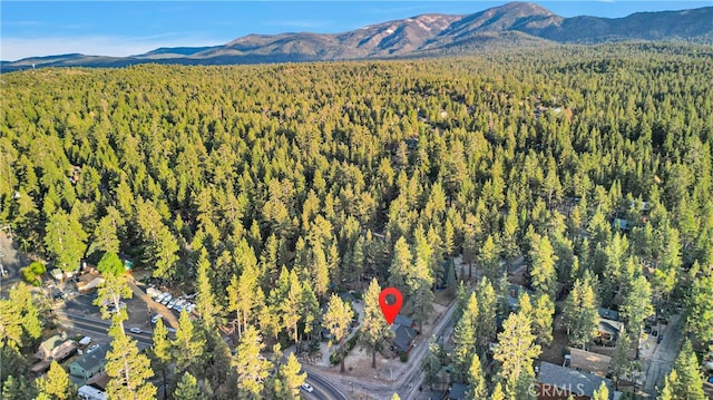 birds eye view of property featuring a mountain view