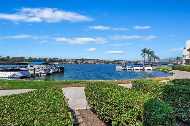 water view featuring a boat dock