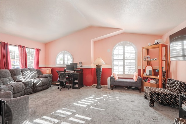 carpeted living room with a textured ceiling and vaulted ceiling