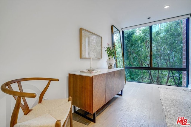 home office featuring floor to ceiling windows and light hardwood / wood-style flooring