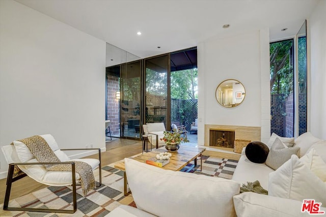 living room with light hardwood / wood-style floors and a wall of windows