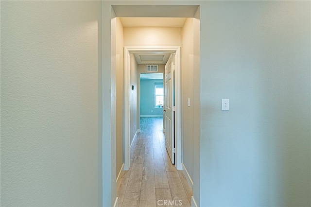 hallway with light hardwood / wood-style flooring