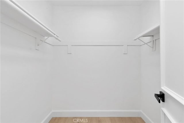 15562 Placid Cir, Huntington Beach, CA 92647 - walk in closet with light wood-style flooring