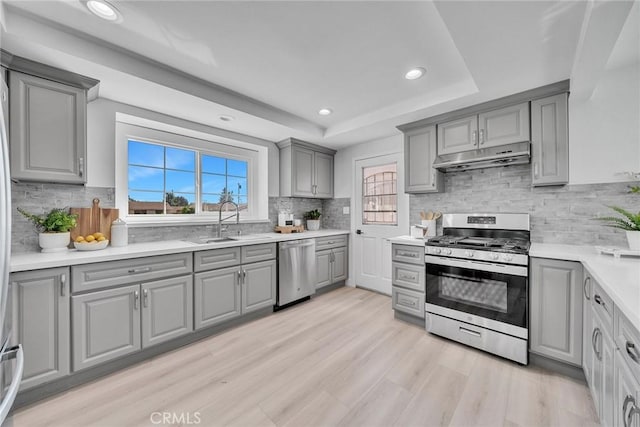 kitchen featuring backsplash, stainless steel appliances, a tray ceiling, sink, and light hardwood / wood-style floors