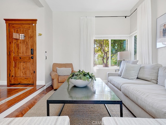 living room featuring hardwood / wood-style flooring