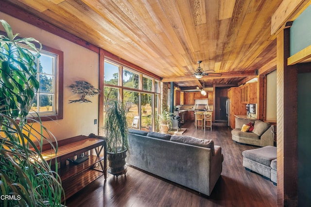 living room featuring ceiling fan, wood ceiling, plenty of natural light, and dark wood-type flooring