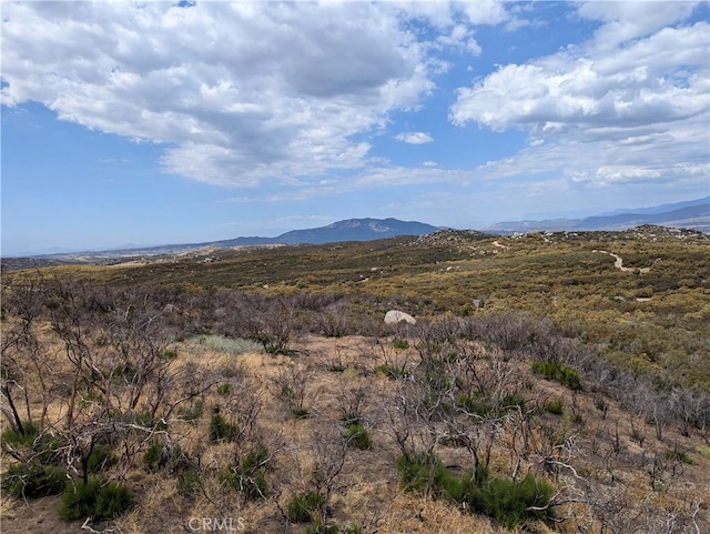 Listing photo 2 for 55050 Tule Peak Rd, Anza CA 92539