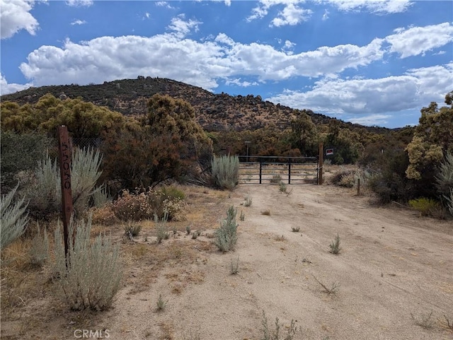 55050 Tule Peak Rd, Anza CA, 92539 land for sale